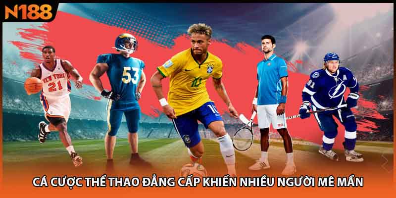 Cá cược thể thao đẳng cấp khiến nhiều người mê mẩn