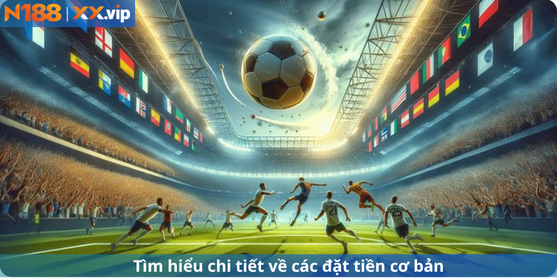 Tìm hiểu chi tiết về các cơ sở cài đặt