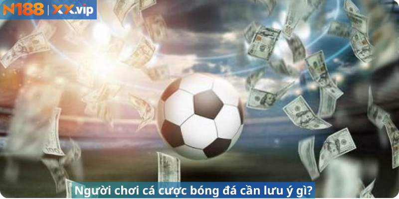 Người chơi đánh bạc đá cần lưu ý gì?