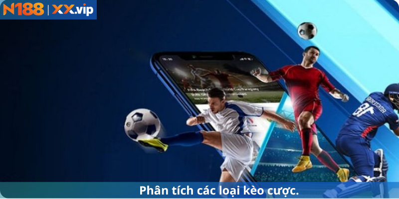 Phân tích các loại đánh số.
