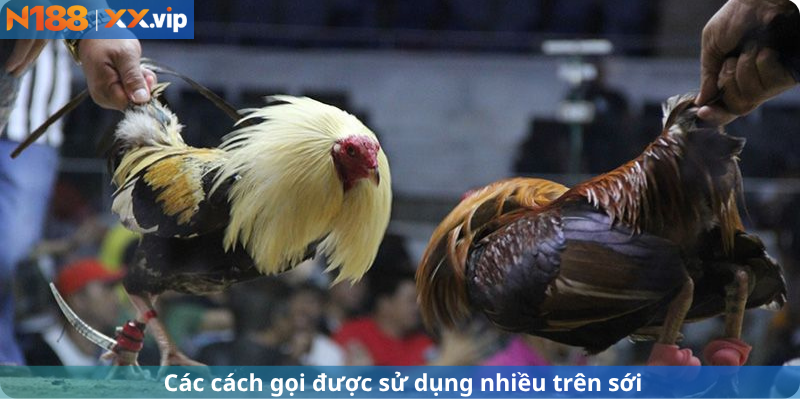 Cách gọi được sử dụng nhiều trên sới.