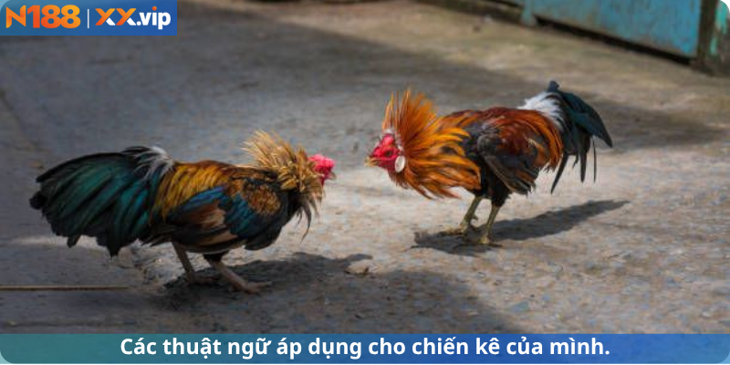 Ứng dụng ngôn ngữ cho chiến kê của mình.
