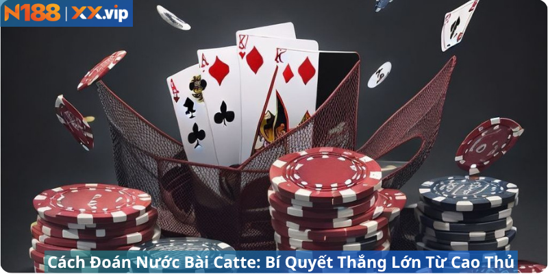 Cách Đoán Nước Bài Catte: Bí Quyết Thắng Lớn Từ Cao Thủ