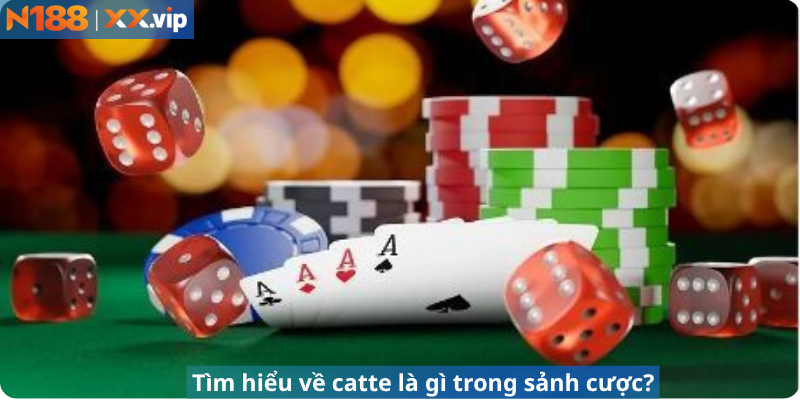 Tìm hiểu về catte là gì trong sảnh cược?