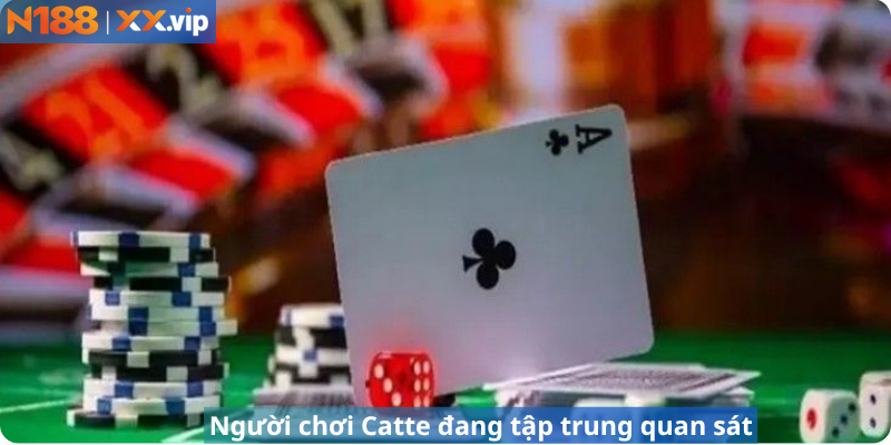 Người chơi Catte đang tập trung quan sát.