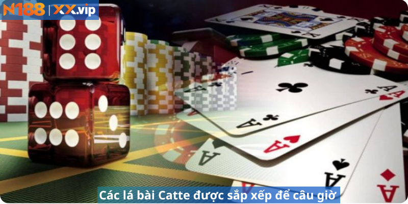 Các lá bài Catte được sắp xếp để câu giờ.